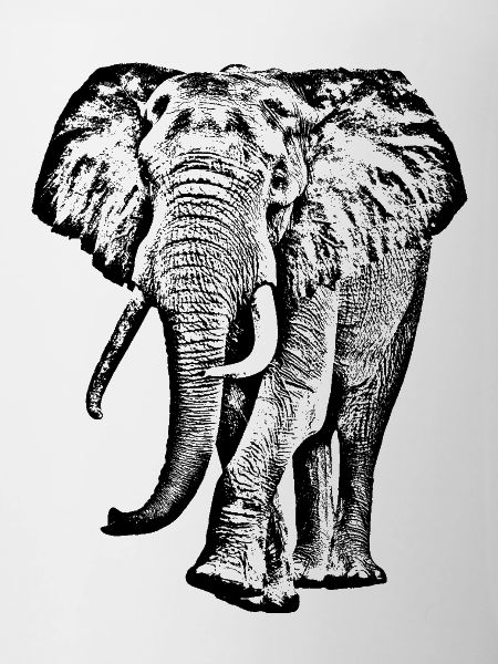Elefant