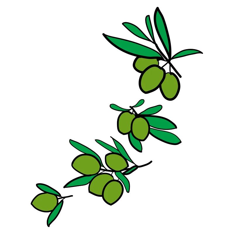 Fresh green olives 2