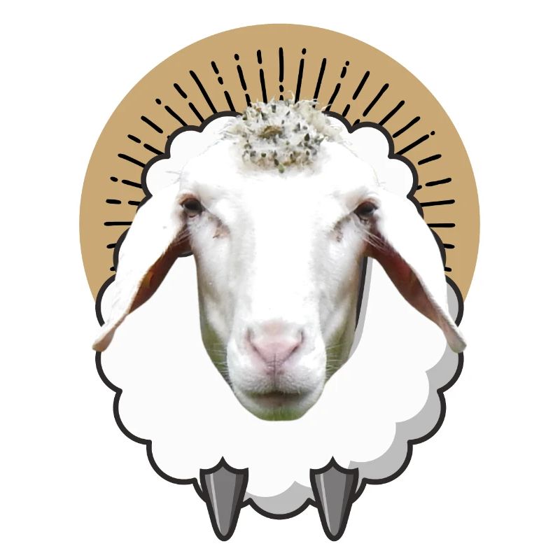 SHEEP SHEEP Sheep Lamb