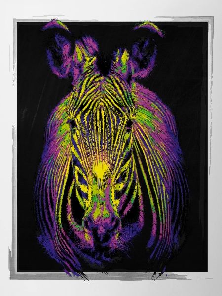 Pop-Art Zebra
