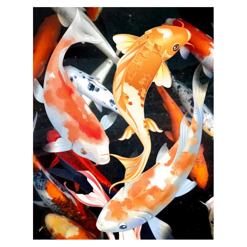 koi carp