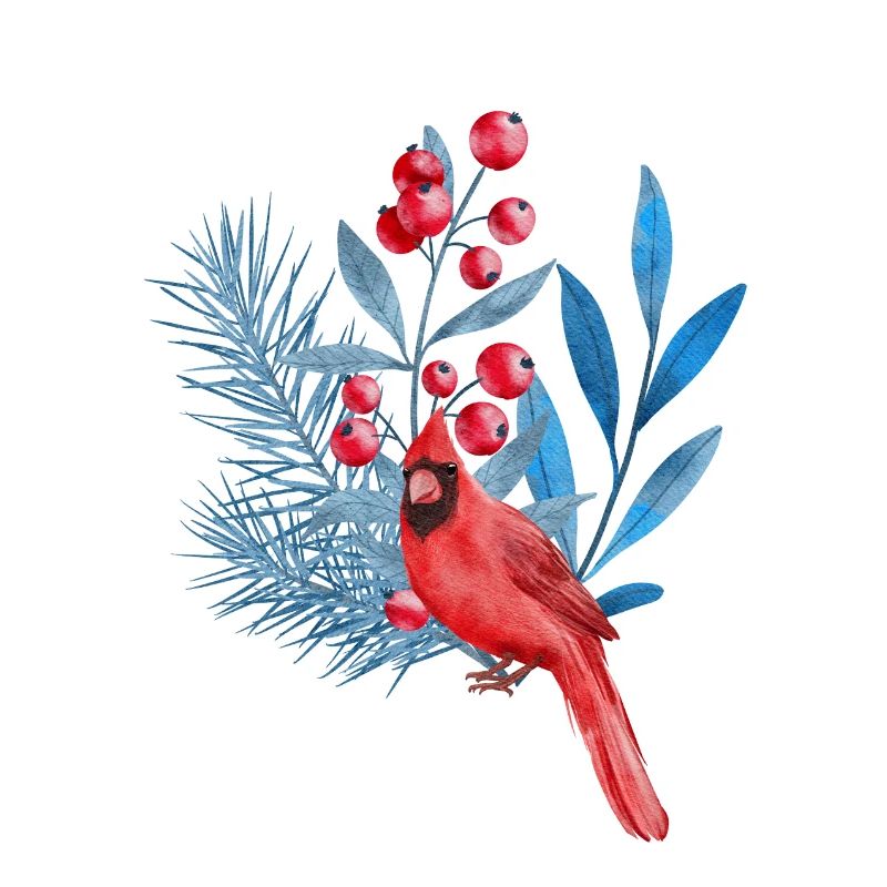 Roter Kardinal in blauen Blättern