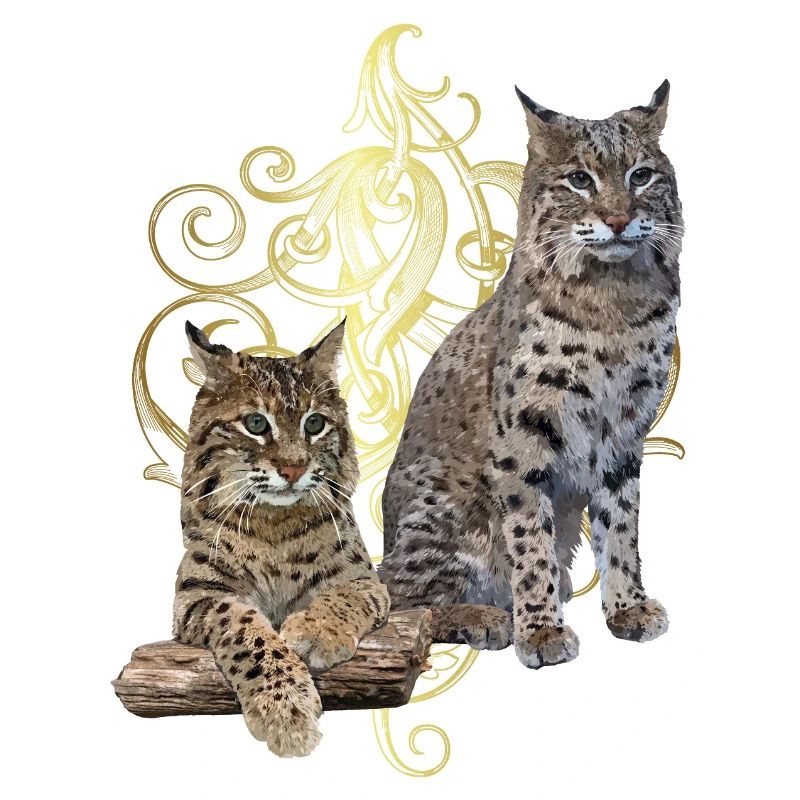 Lynx