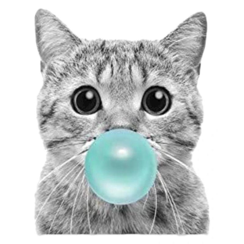 chat cool
