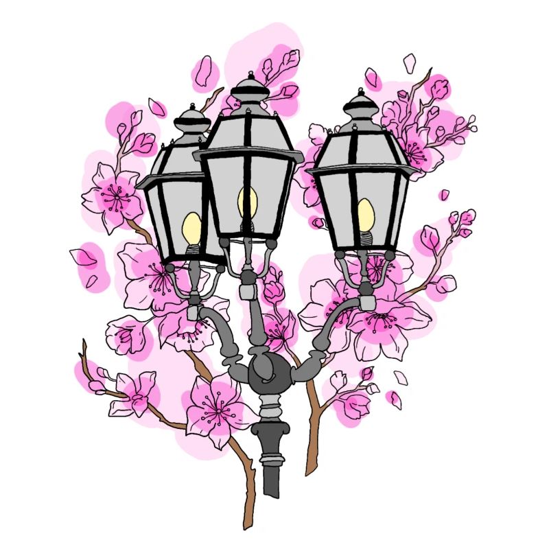 Cherry Blossom Lantern