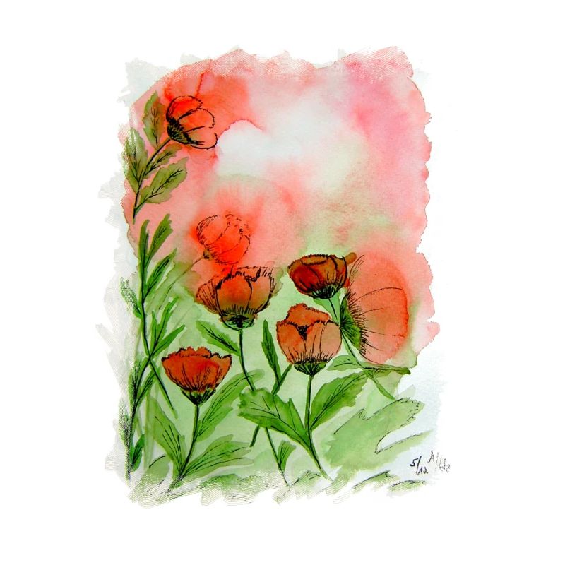 Aquarelle de coquelicots