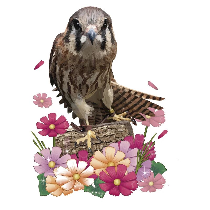 Kestrel