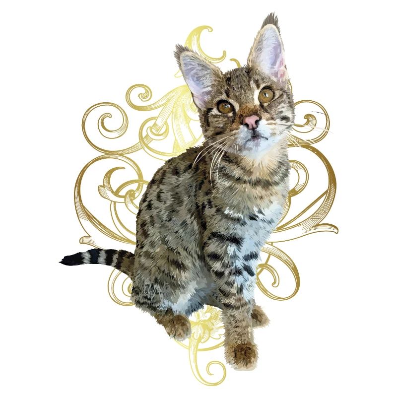 Tabby
