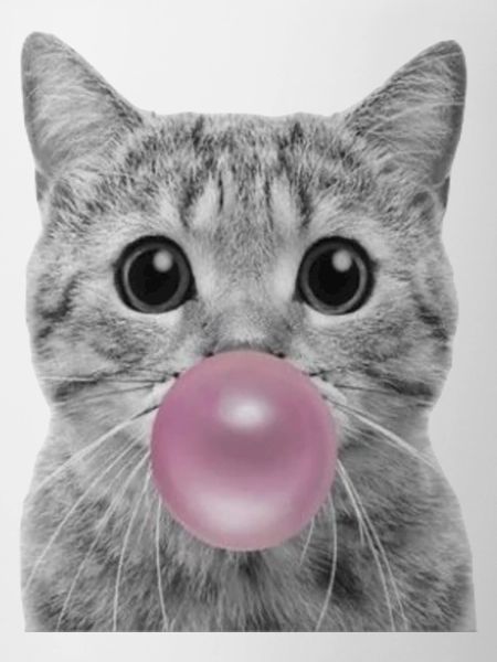 Chat bulle