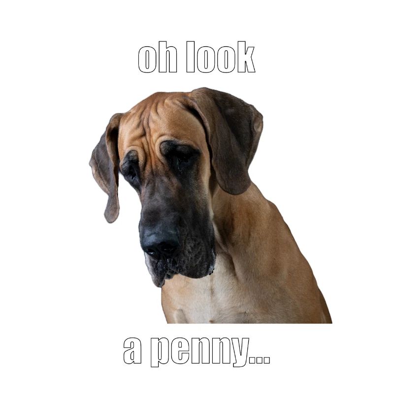 Oh look, a penny...