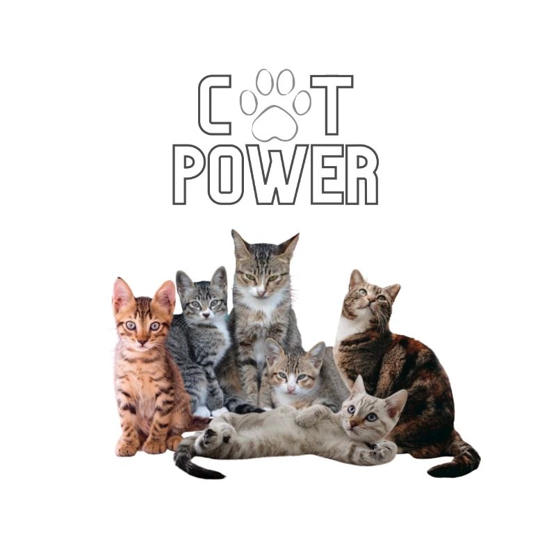 Cat Power