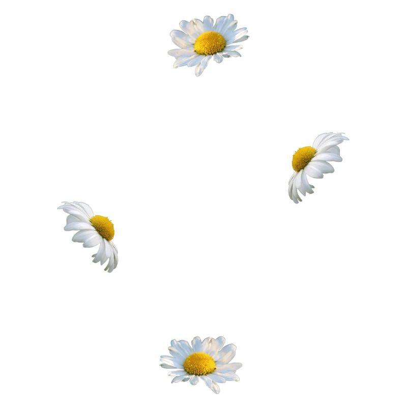 une vie pas le temps d’attendre