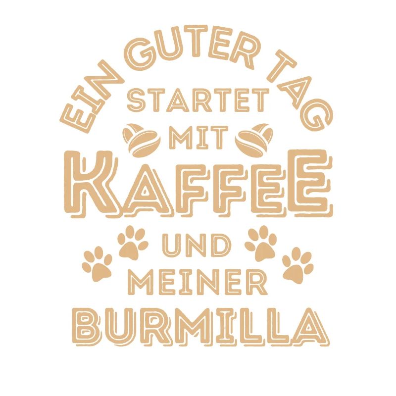 Burmilla Katze Kaffee Cafe
