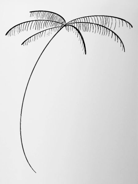 Palm tree vibes