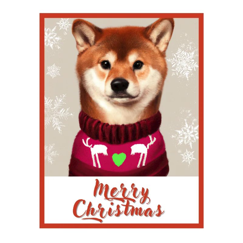 Shiba inu chien dans un pull de Noël rouge.