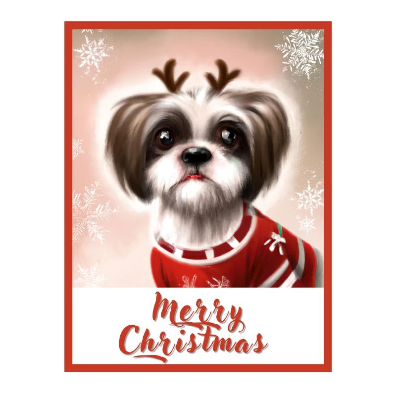 Mignon chien Shih tzu dans un pull de Noël.
