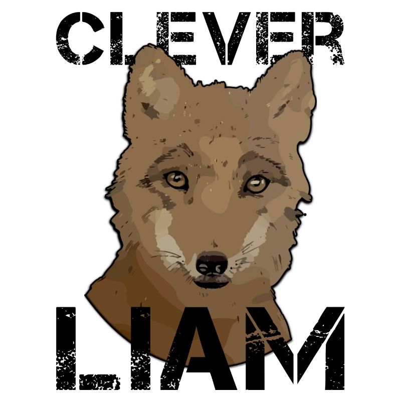 L’anniversaire de Liam Liam