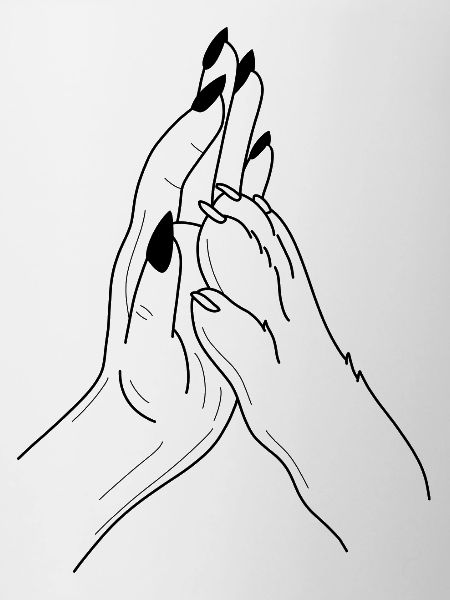 Hand Paw Highfive