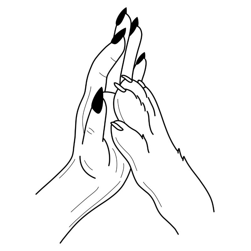 Hand Pfote Highfive