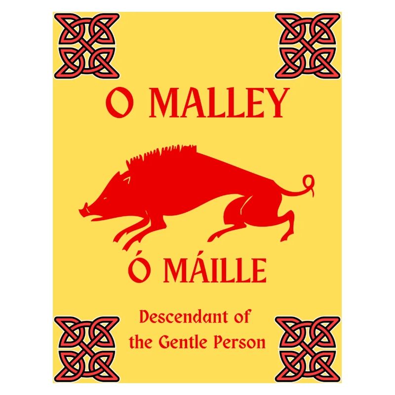 O NOM DE FAMILLE MALLEY