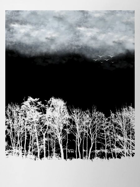 La forêt