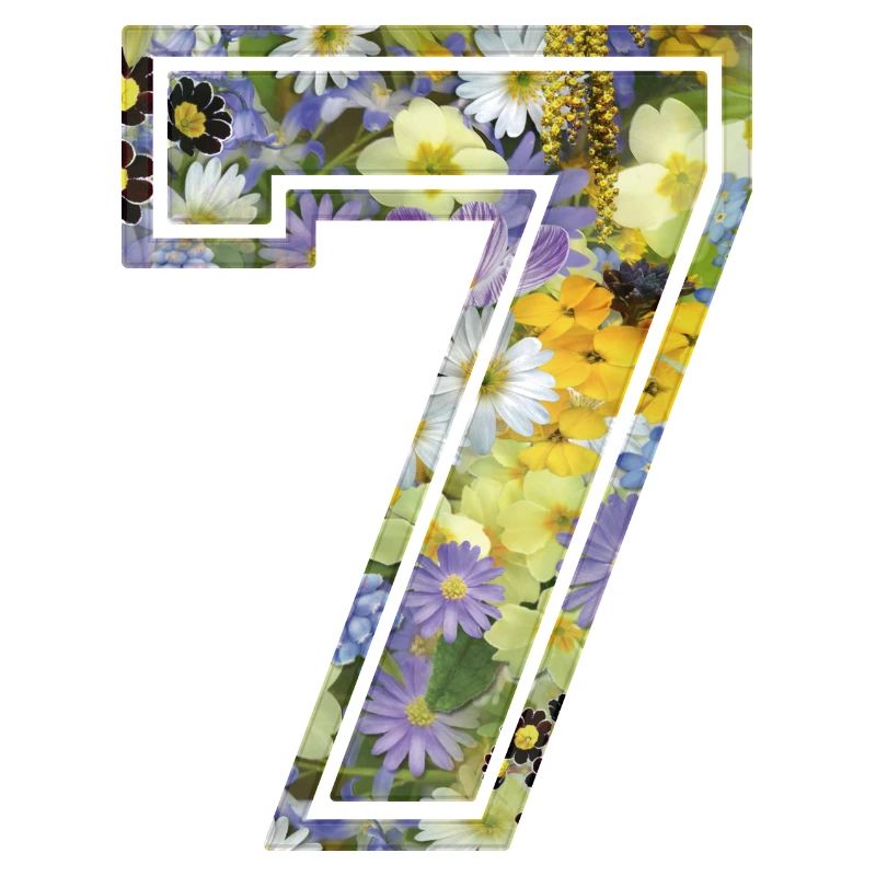 Numero 7 fleur, Équipe Foot, basket université