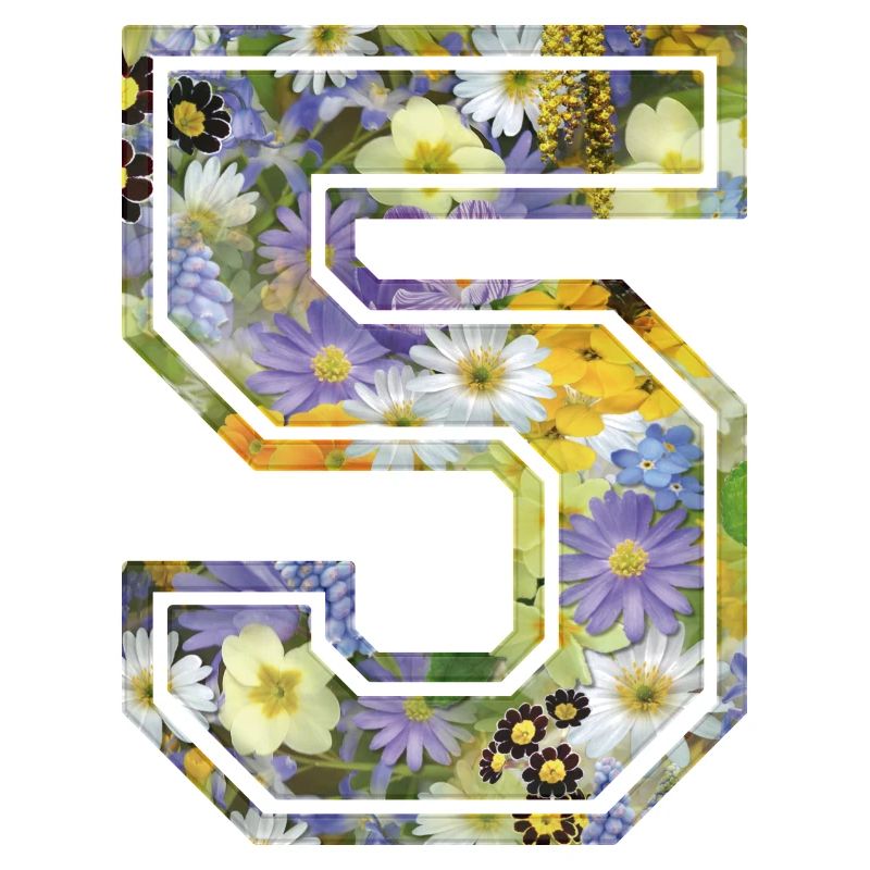 Numero 5 fleur, Équipe Foot, basket université