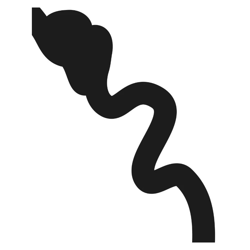 Lignes de vers Symbole de ligne serpent Signe simple