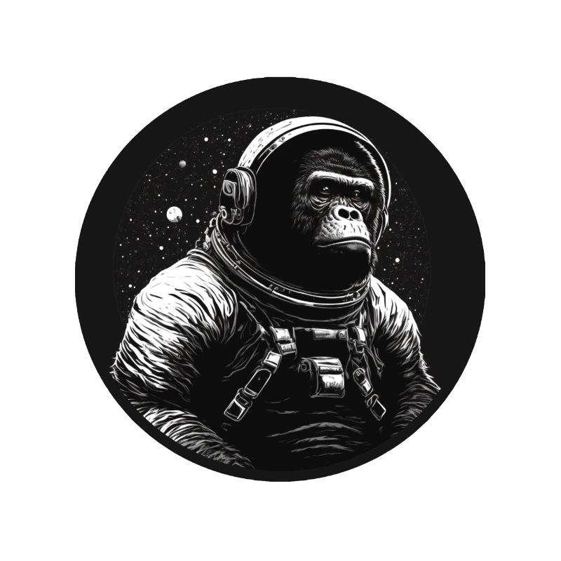Affe Space Monkey Weltraum