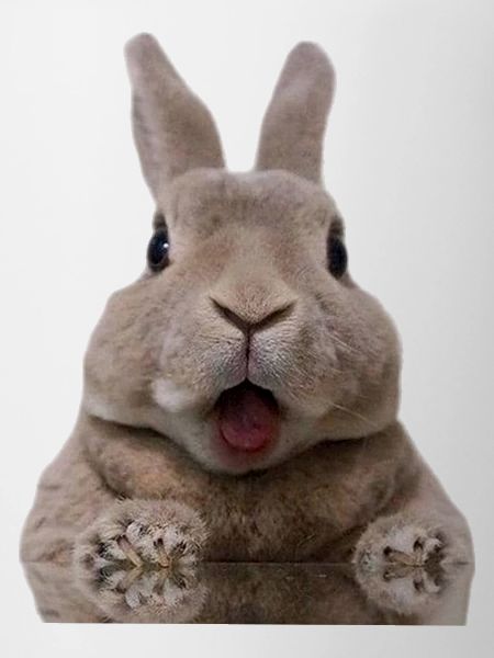Lapin