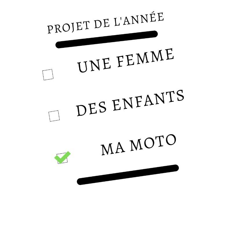 mes projets de l'année