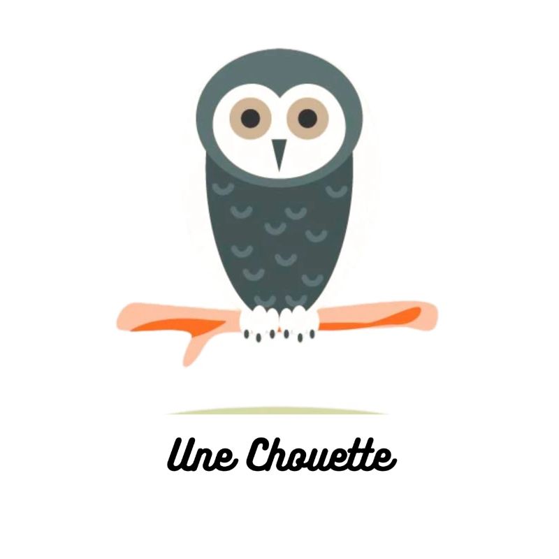 Une Chouette