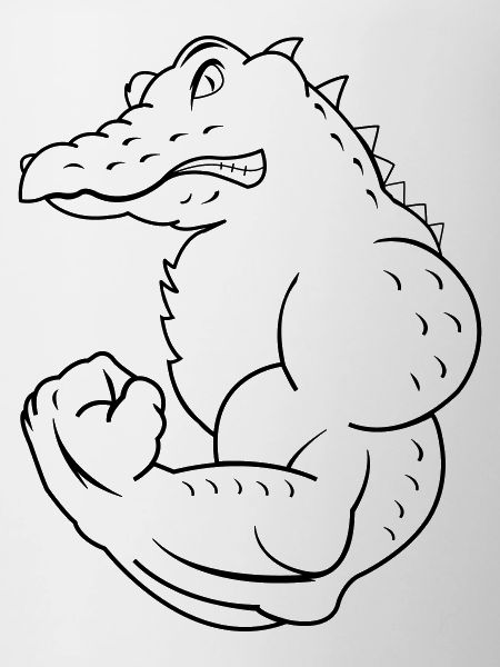 crocodile fort