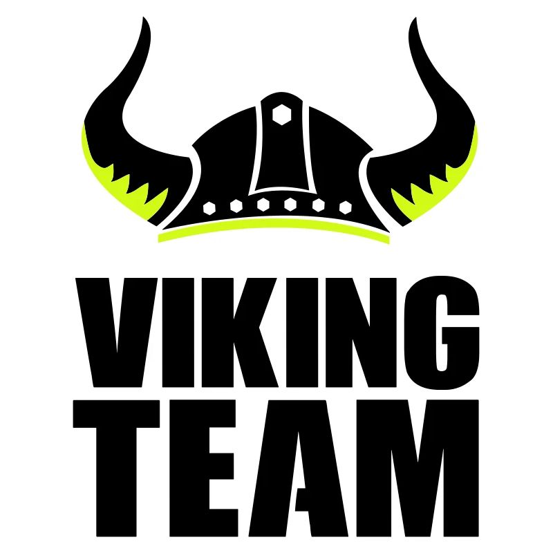 L’équipe Viking 1