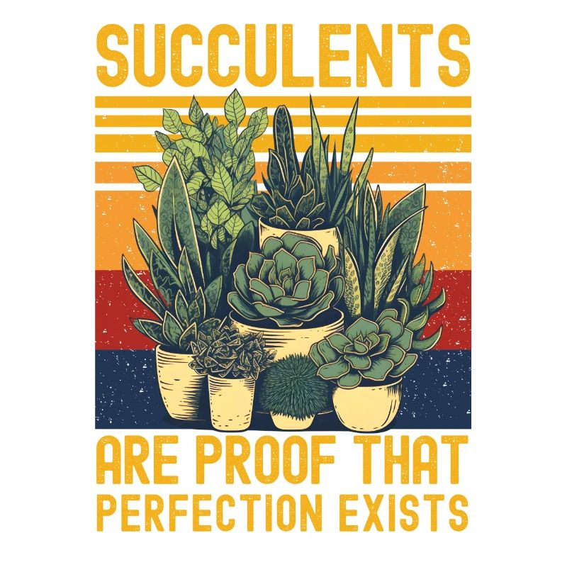 Succulentes drôle de dicton