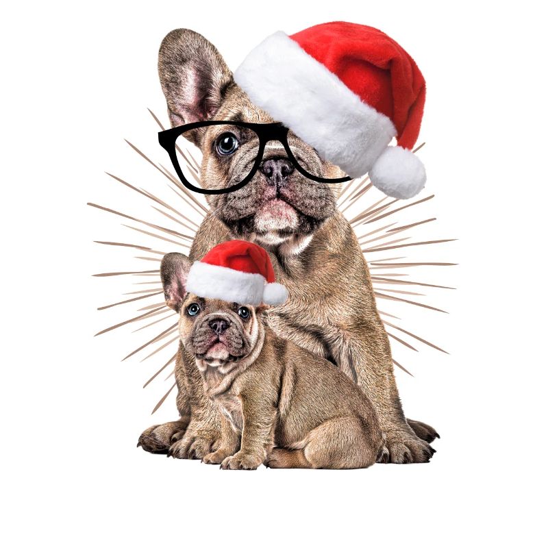 Bouledogue françaisChiens de Noël