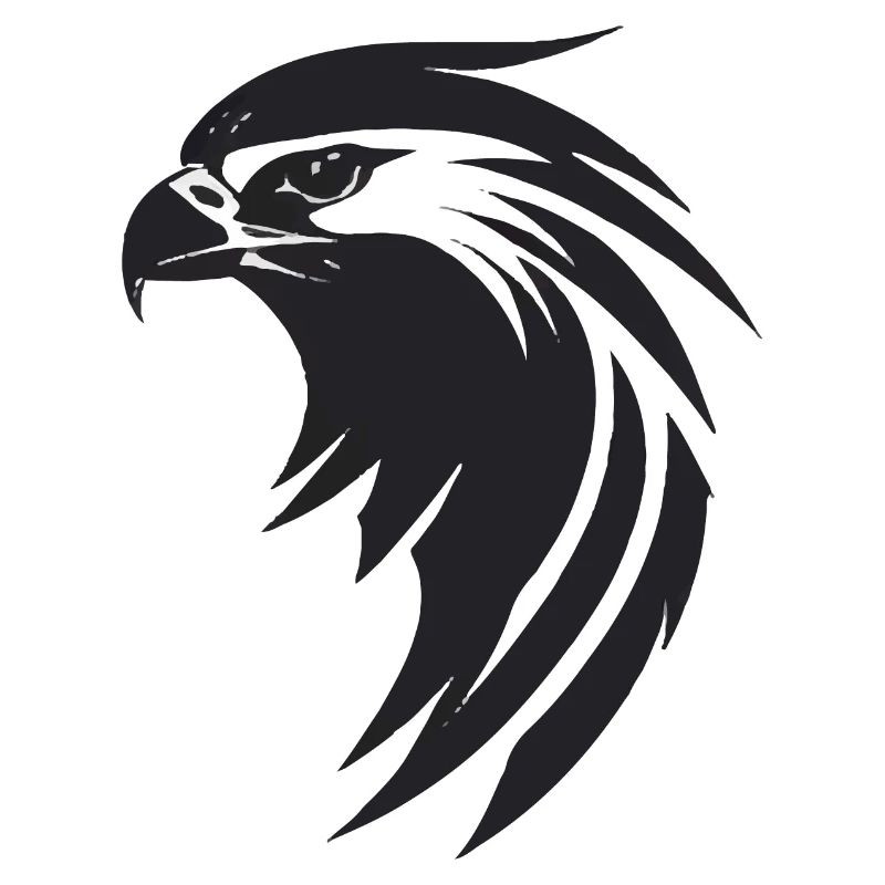 Aigle Oiseau de proie tête