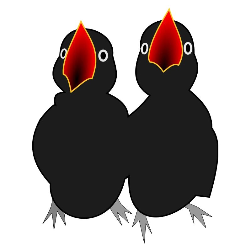 Please feed! Two black birds are hungry!