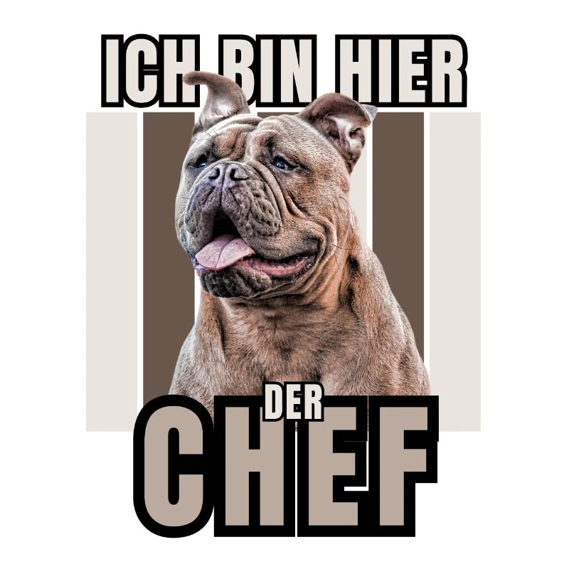 ICH BIN HIER DER CHEF Hund HUNDE Bullogge