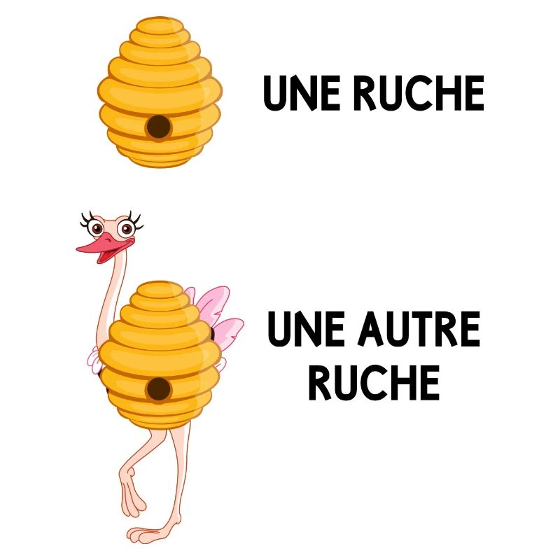 une ruche et autre ruche