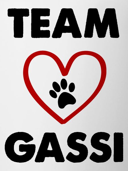 L’équipe Gassi