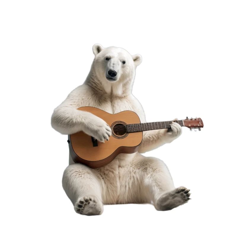 Polar Bear Gitarre