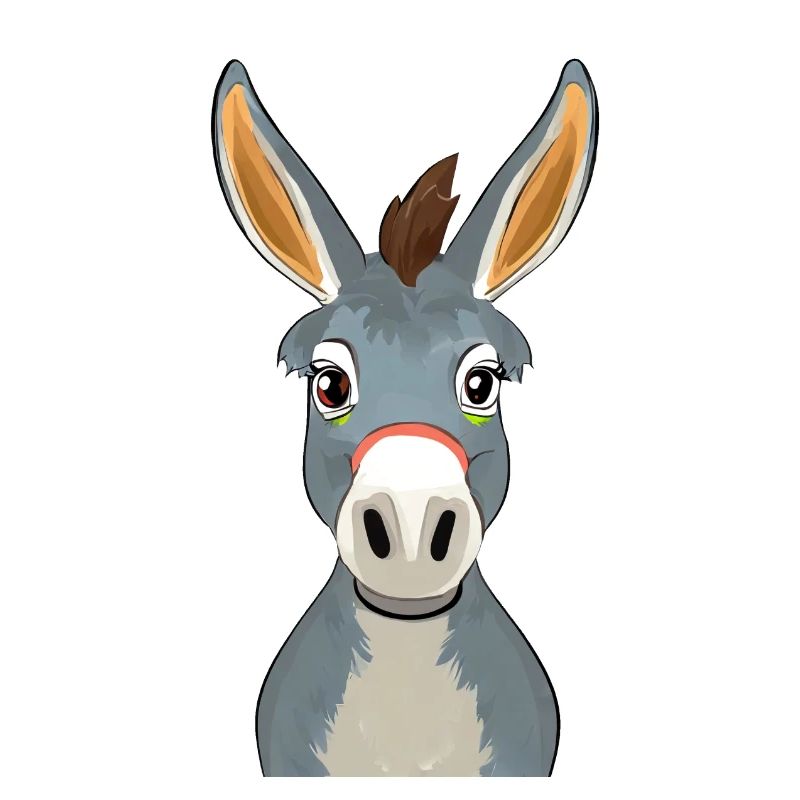 Donkey