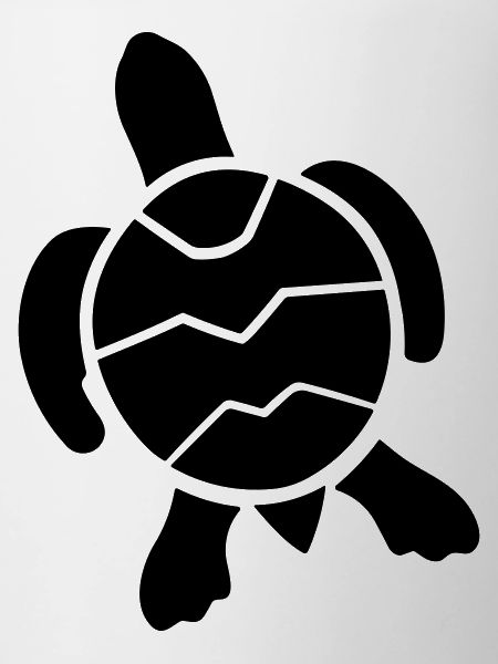 tortue