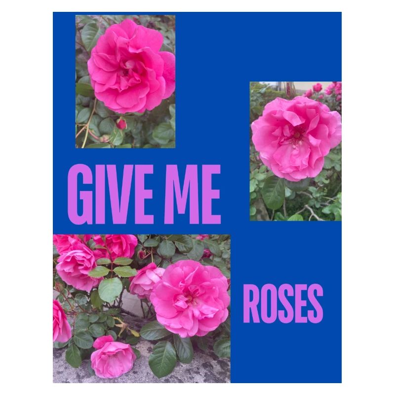 GIVE ME ROSES
