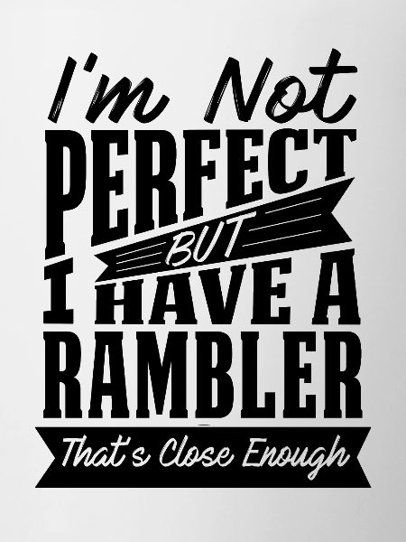 PERFECT WITH RAMBLER CAR