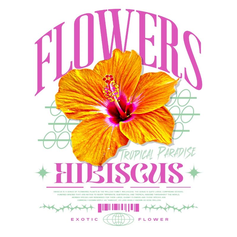 Fleur d’hibiscus Fleur d’hibiscus