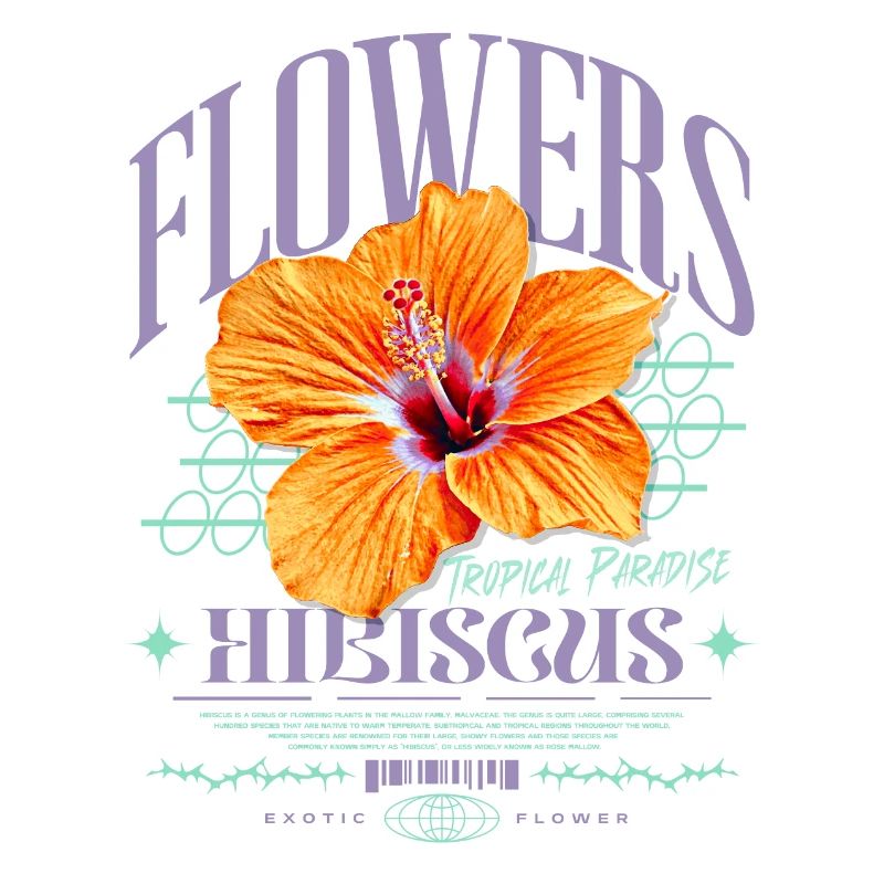 Fleur d’hibiscus Fleur d’hibiscus