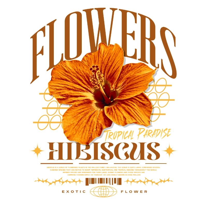 Fleur d’hibiscus Fleur d’hibiscus