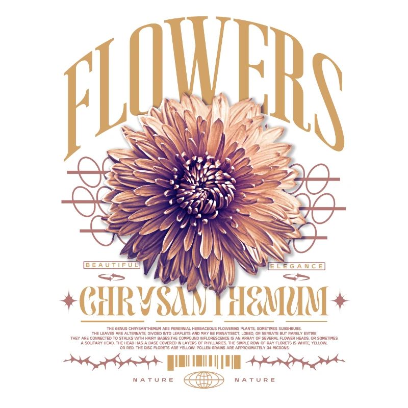 Chrysanthemum Chrysanthemums